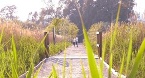 imgmarihernan imgmarihernan